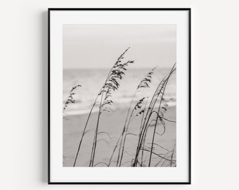 Black and White Beach Print II, Sea Oats Photo, Coastal Wall Decor, Neutral Beach House Decor, Beach House Wall Art, Muted Beach Print