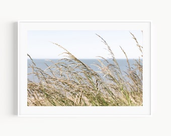 Impresión de playa, foto de avena marina, pastos marinos, decoración de la pared costera, decoración neutra de la casa de playa, arte de la pared de la cabaña de la playa, fotografía del océano, arte de la playa