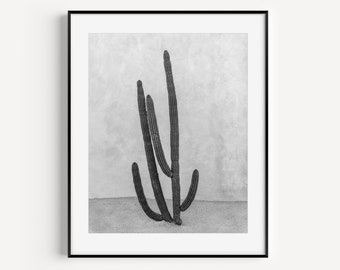 Cactus Print, Black and White Cabo Mexico, Travel Photography, Desert Landscape Wall Decor, Boho Wall Art for Bedroom or Living Room