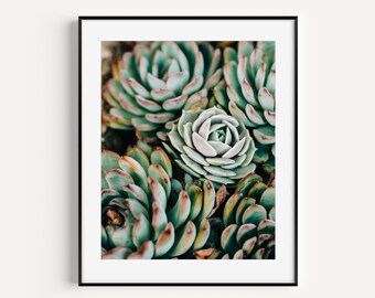 Succulent Print, Green Succulent Photo, Cactus Poster, Botanical Print, Floral Art Print, Boho Wall Decor, Minimalist Wall Art, Large Art