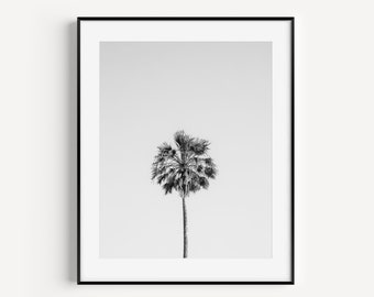 Palm Tree Beach Print, Tropical Wall Decor, Beach House Decor, Black and White Beach Travel Photography, Coastal Wall Art for Living Room