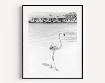 Black and White Flamingo Print, Aruba Travel Photography, Wildlife Nature Photography, Coastal Wall Decor for Living Room or Nursery