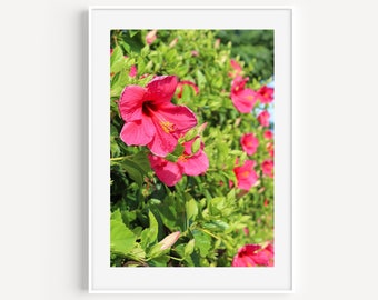 Pink Hibiscus Flowers, Nature Photography, Tropical Wall Art, Bermuda Photography, Botanicals, Floral Wall Decor, Boho Style, Bermuda Gift