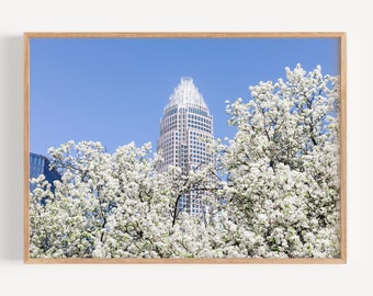 Charlotte NC Skyline Photography, Charlotte North Carolina Home Decor Gift, Cherry Blossoms, Cityscape Wall Art for Office or Living Room