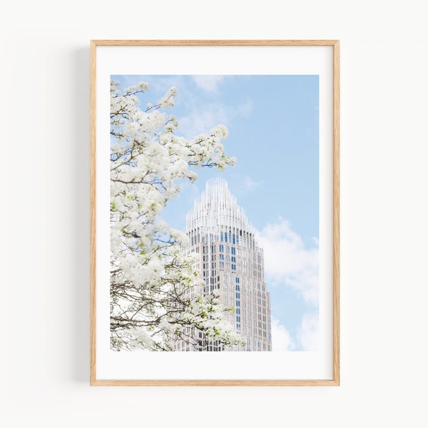 Impression de la ligne d'horizon de Charlotte NC, fleurs de cerisier de Charlotte en Caroline du Nord, photographie de voyage, art mural paysage urbain pour bureau ou salon