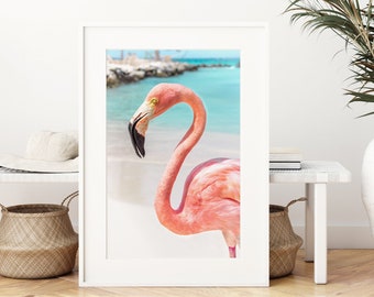 Pink Flamingo Poster, Aruba Photography, Flamingo Wall Art Prints, Flamingo Wall Decor, Flamingo Theme Nursery, Tropical Wall Art Prints