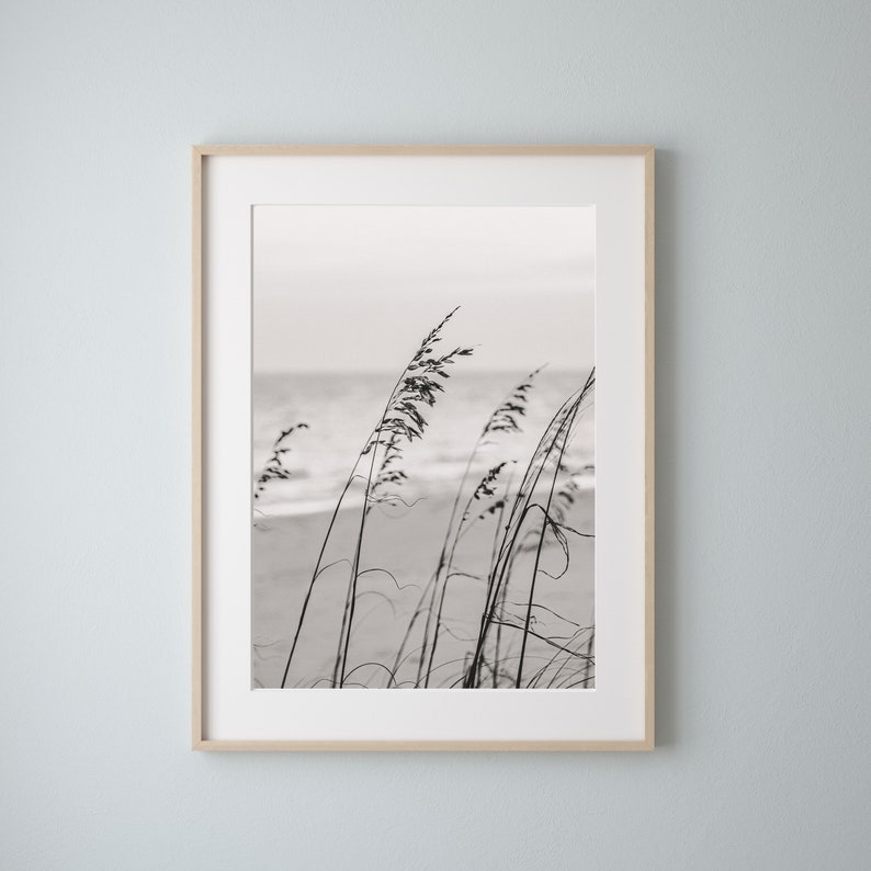 Black and White Beach Print Sea Oats Photo Coastal Decor Neutral Beach House Decor Beach House Wall Art Outer Banks Print image 6