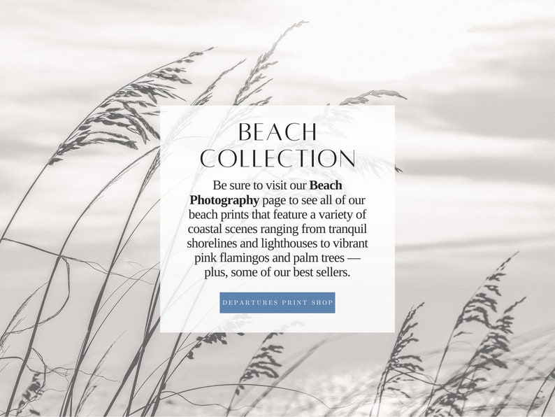 Flamingo Photography Print Black and White Flamingo Wall Art Etsy