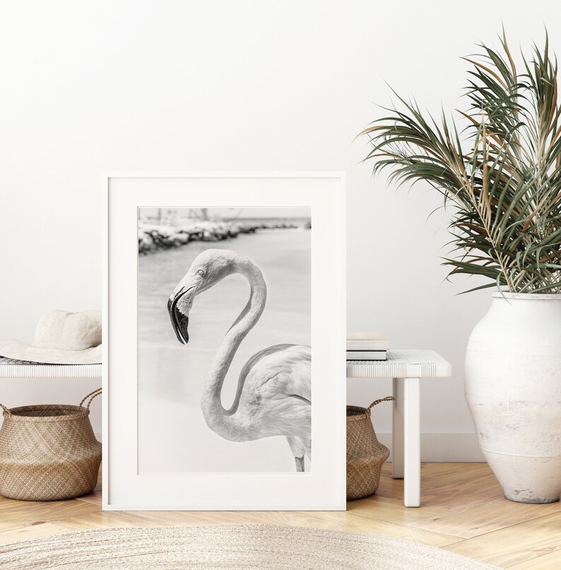 Flamingo Photography Print Black and White Flamingo Wall Art Etsy