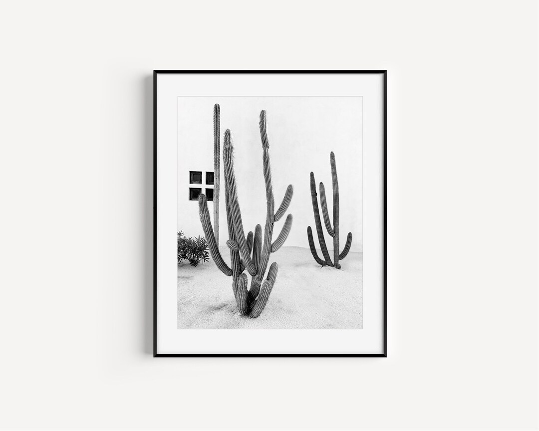 Black and White Cactus Print, Boho Decor, Cactus Wall Art, Travel