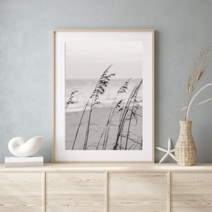 Black and White Beach Print | Sea Oats Photo | Coastal Decor | Neutral Beach House Decor | Beach House Wall Art | Outer Banks Print