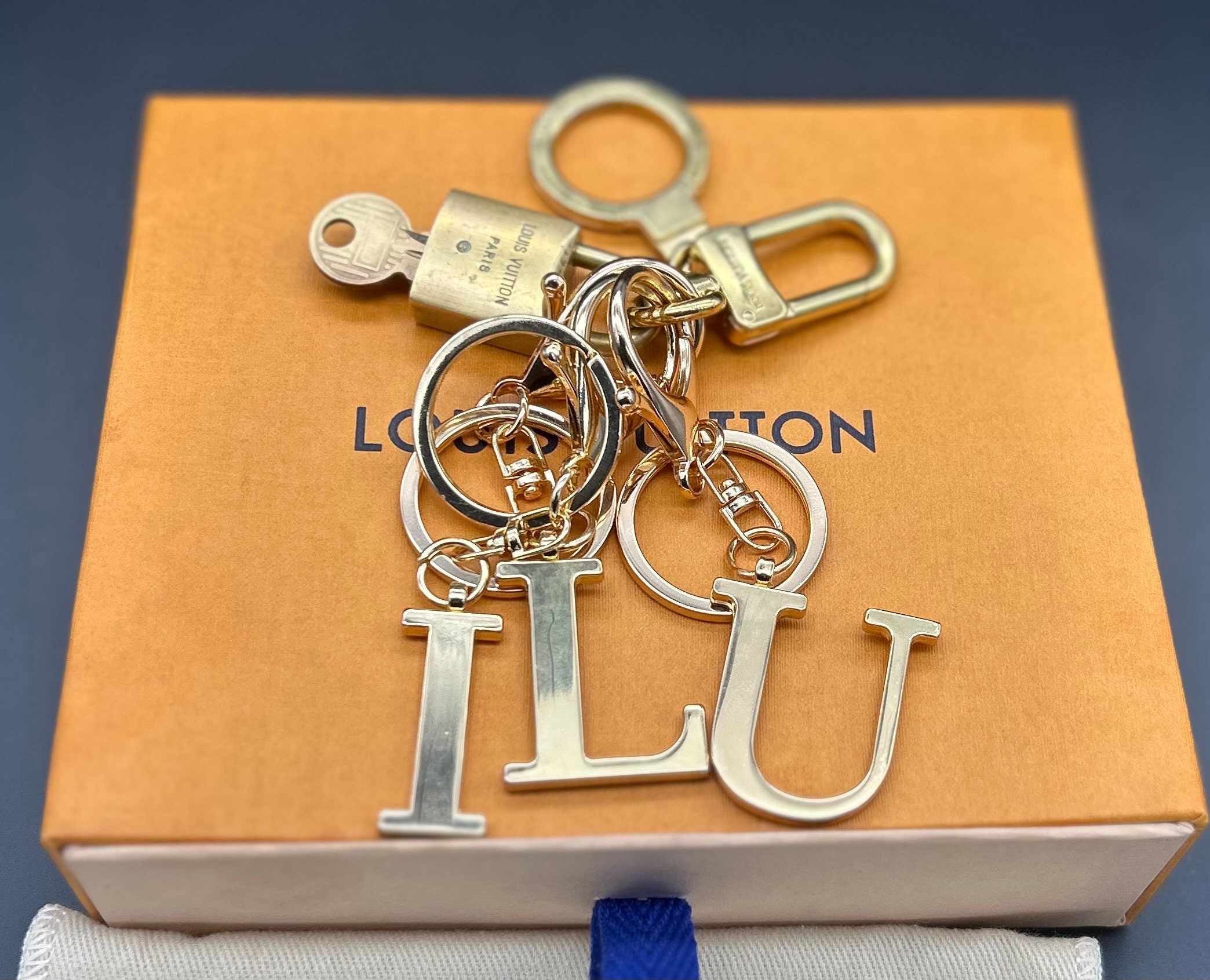 Authentic Louis Vuitton LV Large Stainless Steel Luggage Tag Key Chain CK  1100