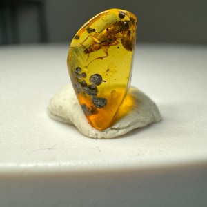 【オーストラリア産】ゴキブリ入り！天然琥珀(アンバー) オーストラリア産】ゴキブリ入り！天然琥珀(アンバー)