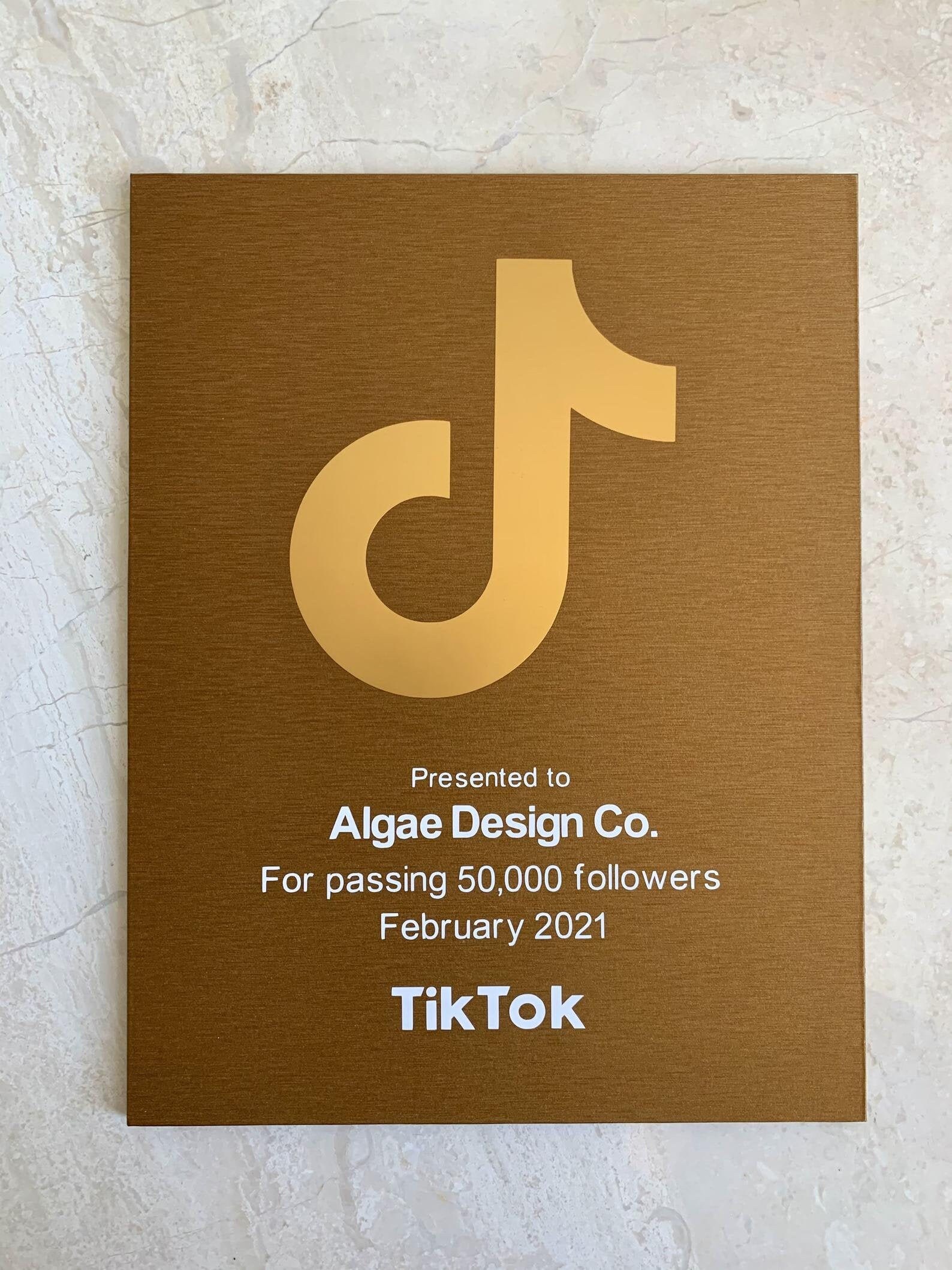 Custom TikTok Creator Awards Social Media Plaque Etsy