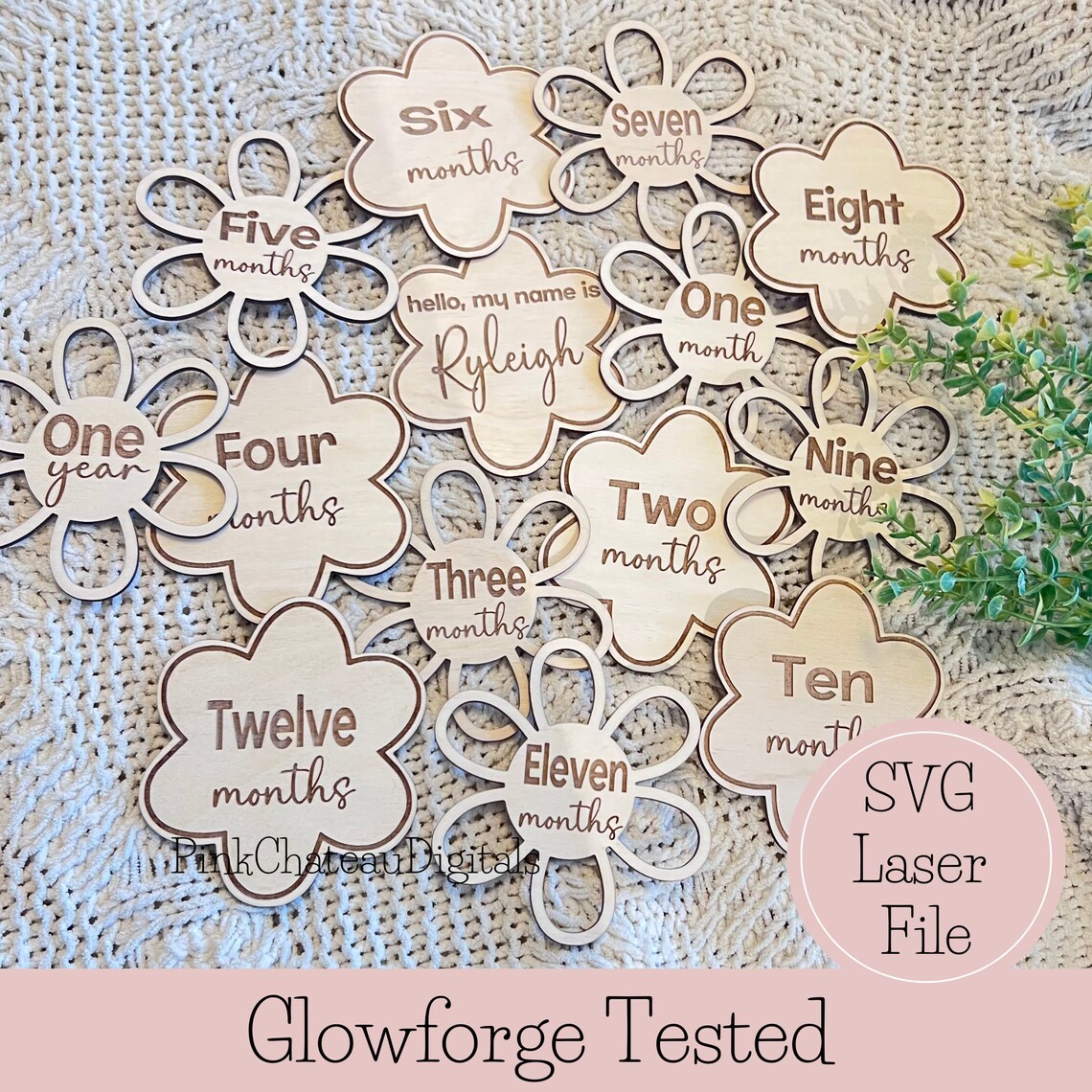 Baby Monthly Milestone Photo Props SVG Bundle — Daisy Flower Laser Cut ...