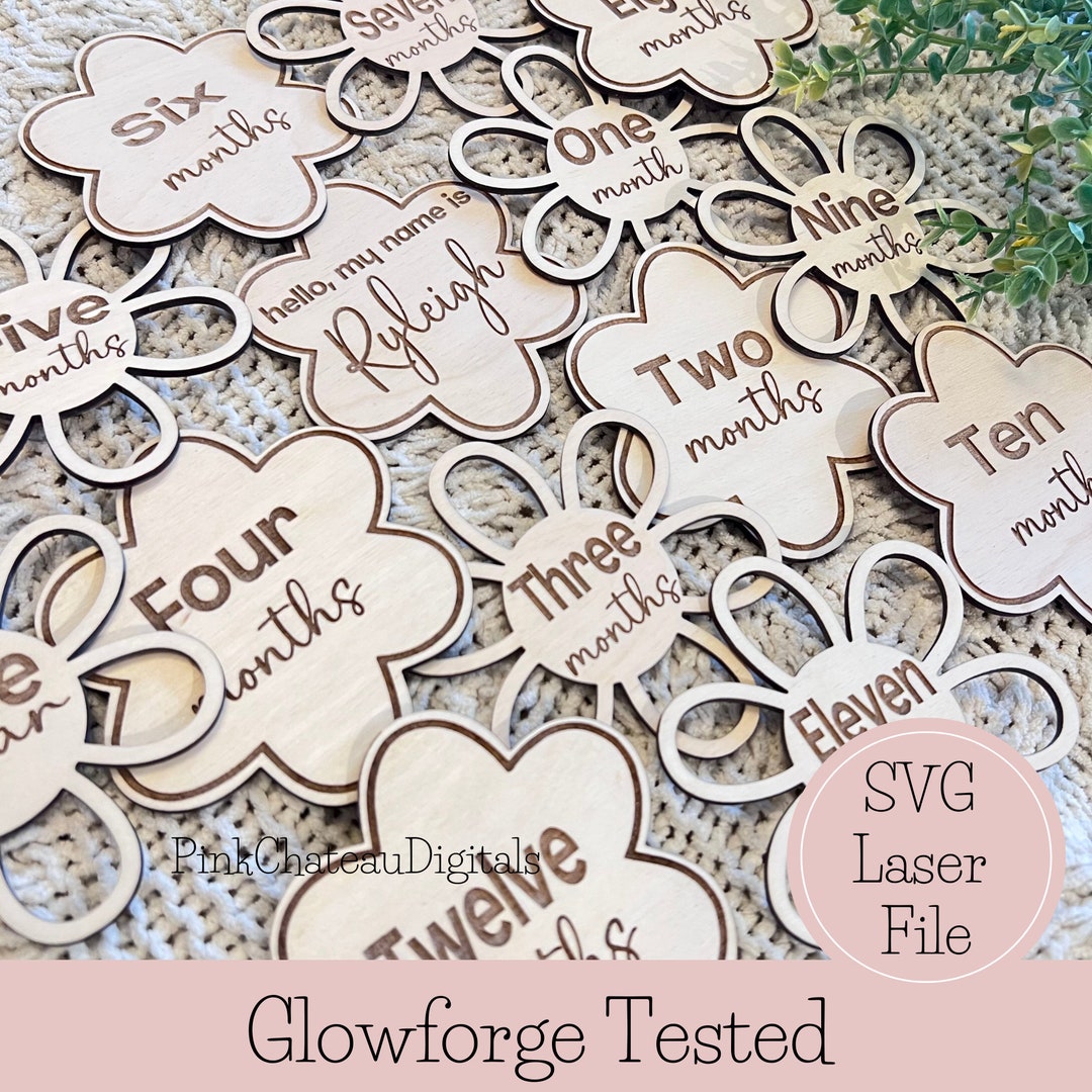 Baby Monthly Milestone Photo Props SVG Bundle — Daisy Flower Laser Cut ...