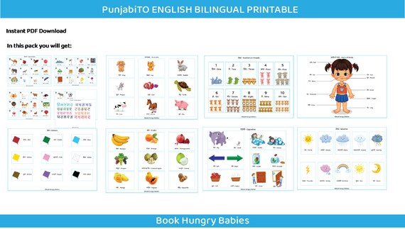 printable punjabi learning binder teach punjabi kids toddler etsy