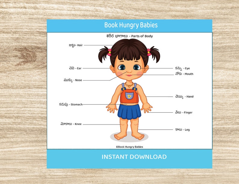 Printable Telugu Learning Binder, Teach Telugu Kids, Toddler Learning
