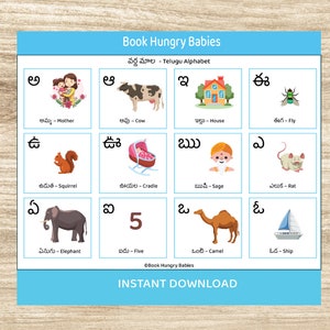 Printable Telugu Learning Binder: Alphabet, Numbers, Colors (PDF)