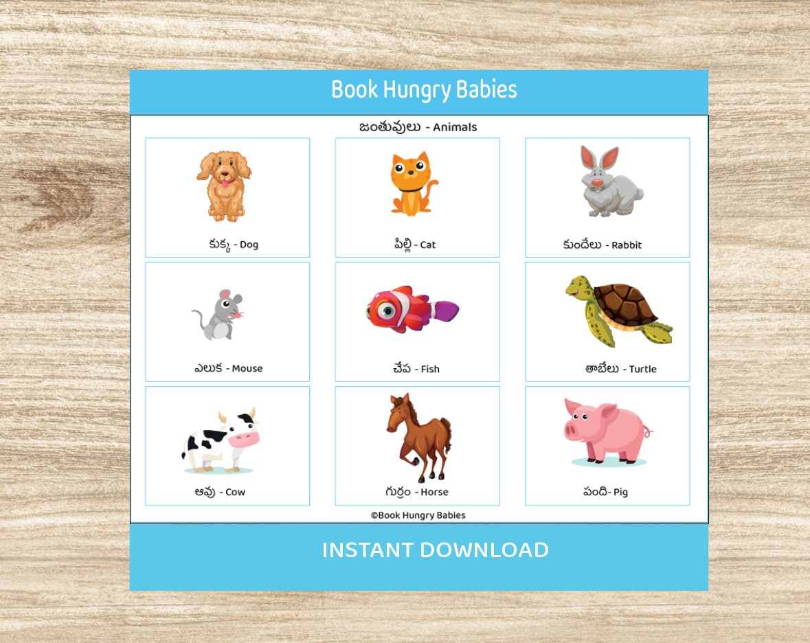 Printable Telugu Learning Binder, Teach Telugu Kids, Toddler Learning