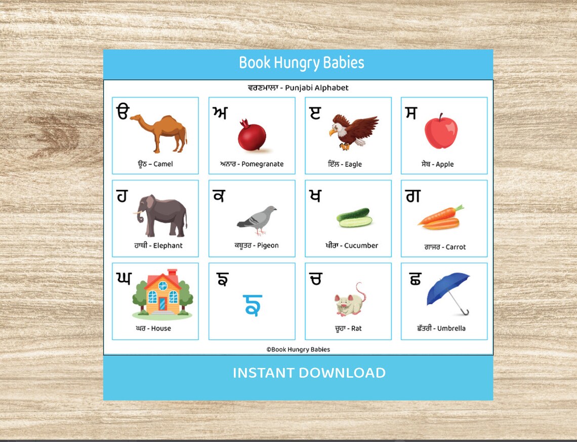 Printable Punjabi Learning Binder, Teach Punjabi Kids, Toddler Learning
