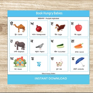 Printable Punjabi Learning Binder, Teach Punjabi kids, toddler learning binder
