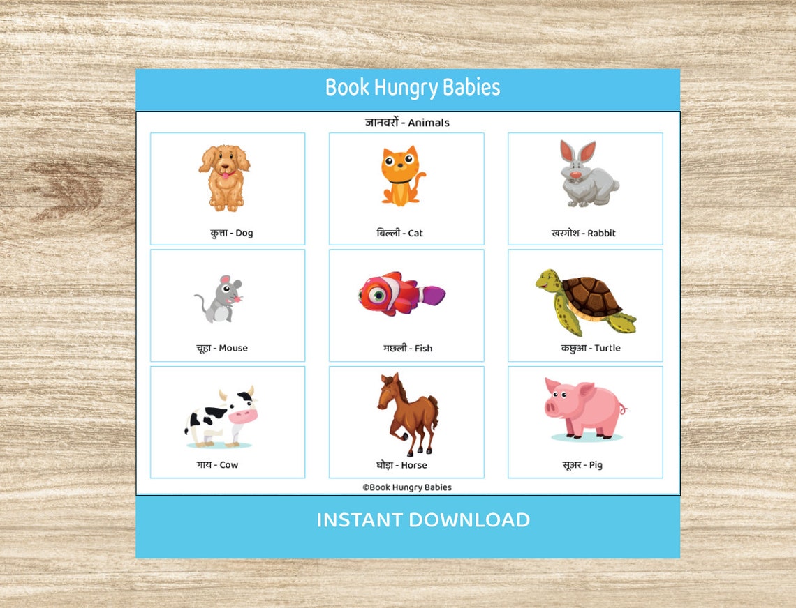 Printable Hindi Learning Binder, Hindi for Kids Etsy