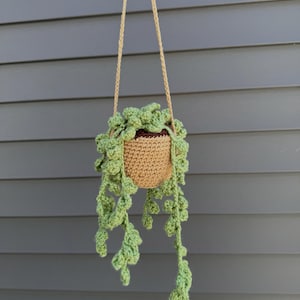 Crochet Hanging Plant