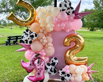 DIY Pink Balloon Garland Kit Not My First Rodeo Birthday Balloon Arch DIY Balloon Kit Pink Party Decoration Birthday Balloon Second Birthday