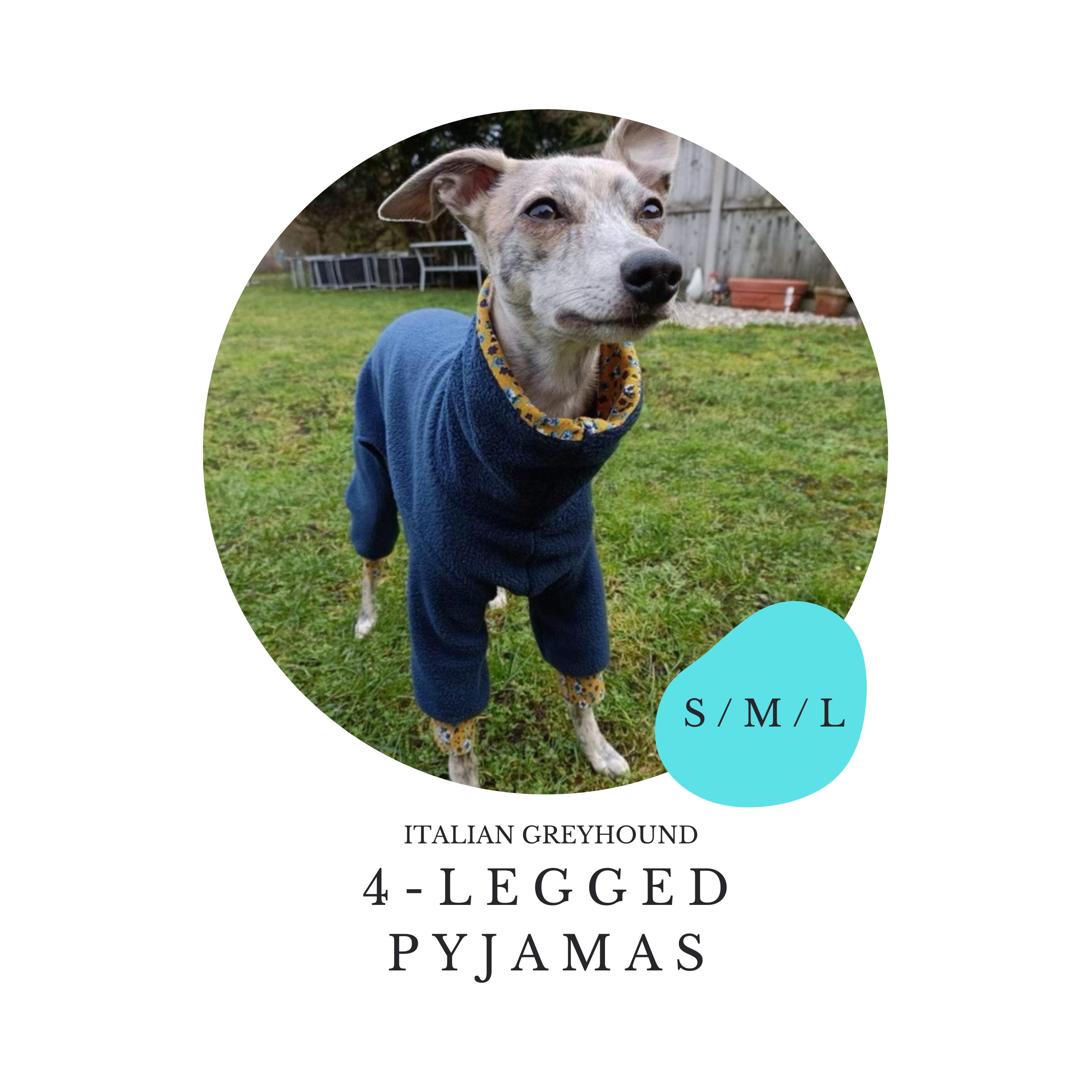 47+ Designs Italian Greyhound Coat Sewing Pattern UtamiPratama
