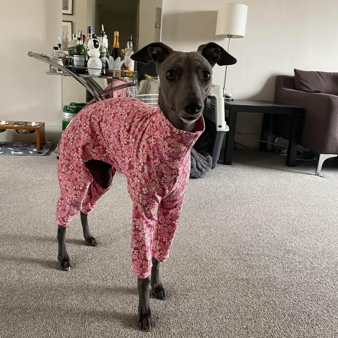 Italian Greyhound Pyjamas 4-leg Onesie Sewing Pattern PDF – S/M/L Sizes ...