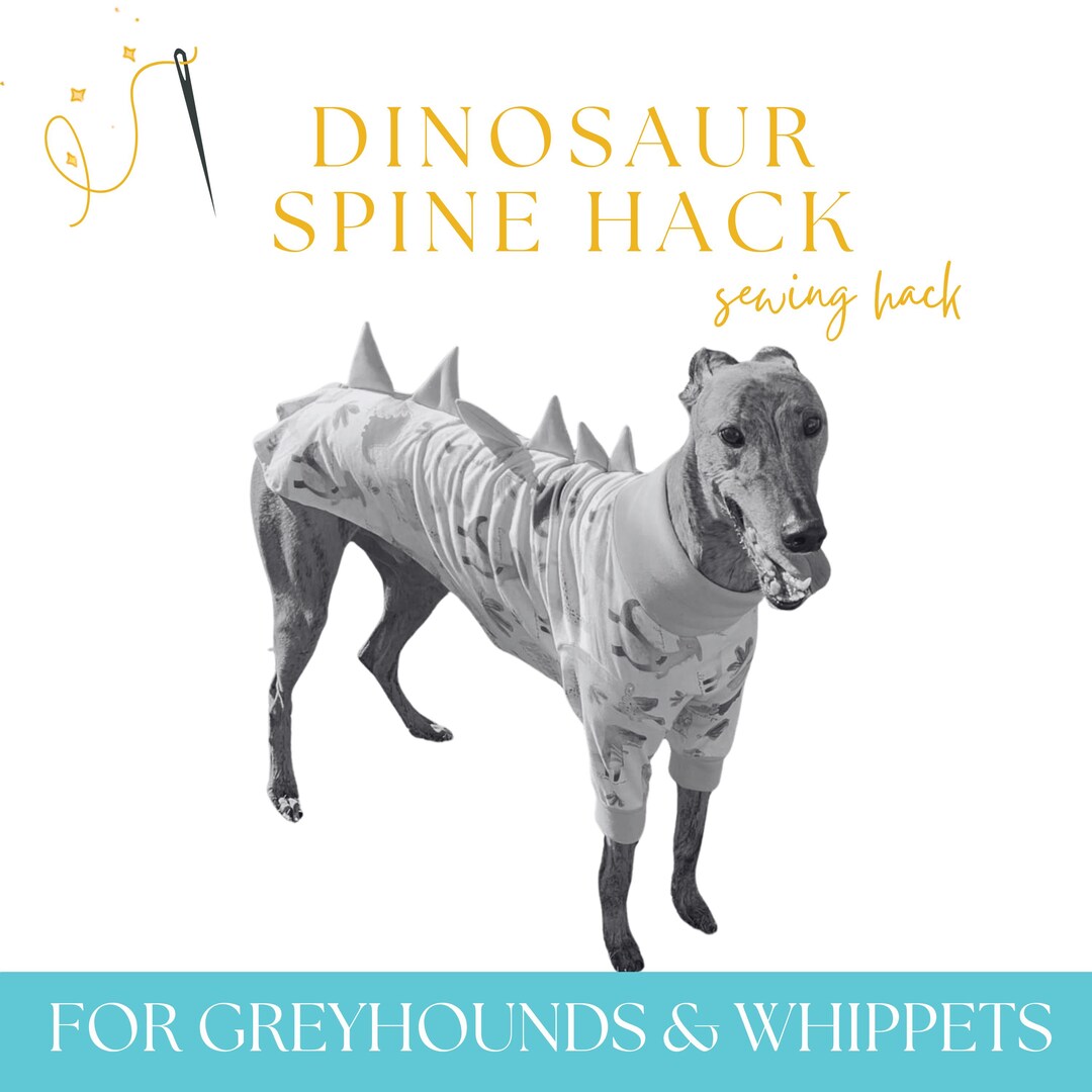 DINOSAUR Spine Pattern Hack, Instant Download PDF for Greyhound or