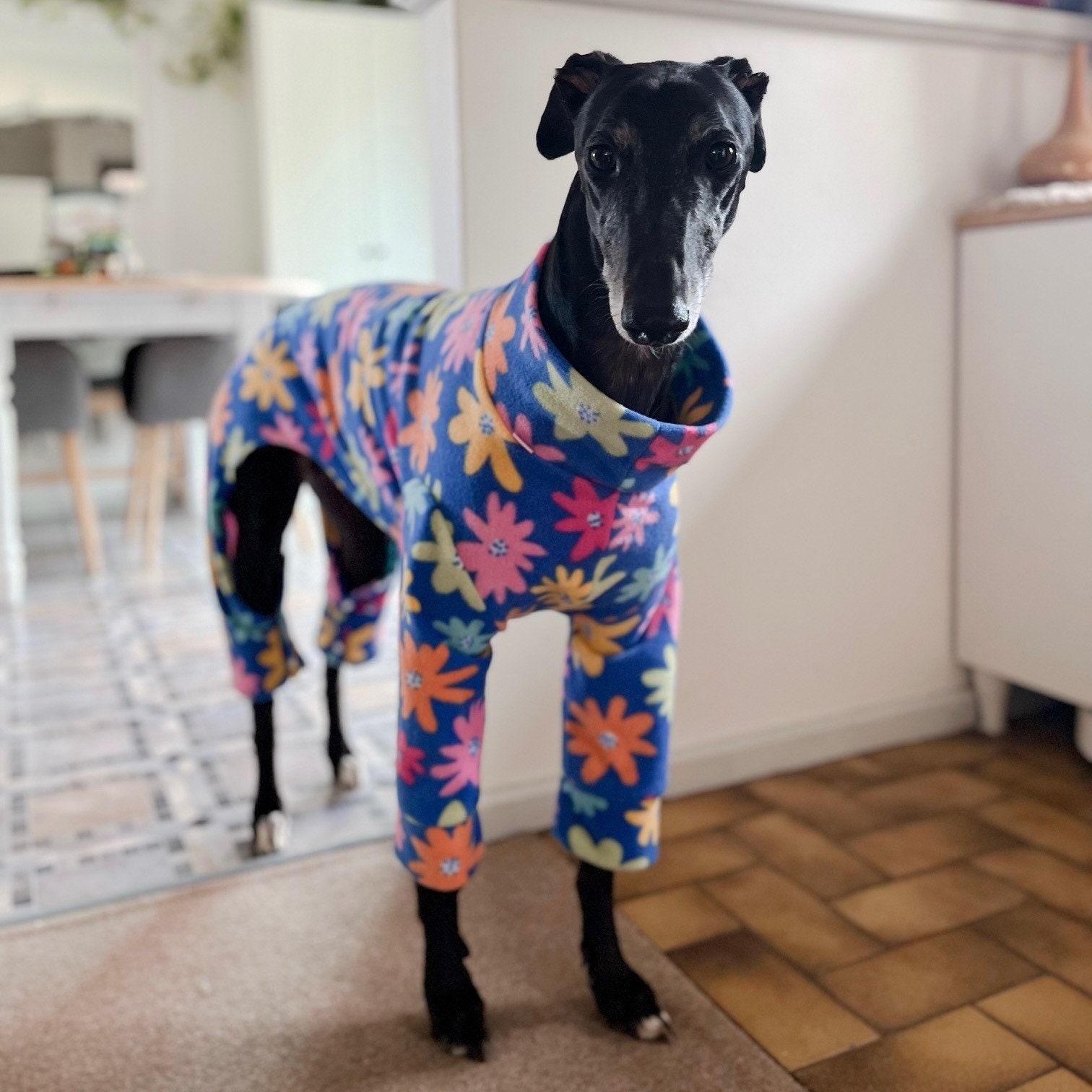 Greyhound Pyjamas 4-leg Onesie Sewing Pattern PDF – Giant/xxl/xl Sizes ...