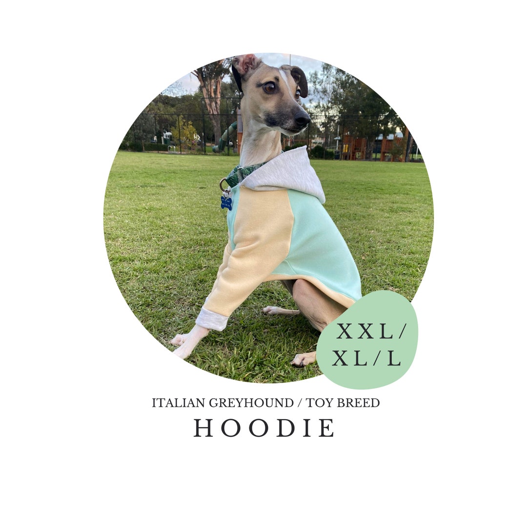 XXL/XL/L Italian Greyhound Hoodie / Dog Jumper / Small Toy Breed / PDF