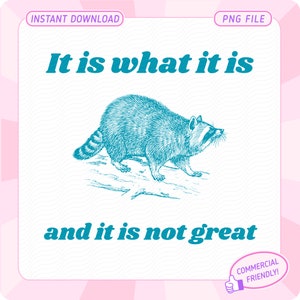 Het is wat het is en het is niet geweldig png, grappige wasbeer png, prullenbakpanda png, wasbeermeme png, wasbeersublimatie, sarcastisch gezegde png