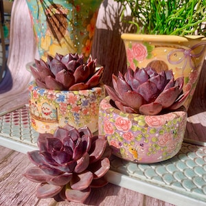 May include: Three succulent plants in decorative pots with floral designs. The pots are painted with pink, purple, and white flowers. The succulents are a deep burgundy color.
