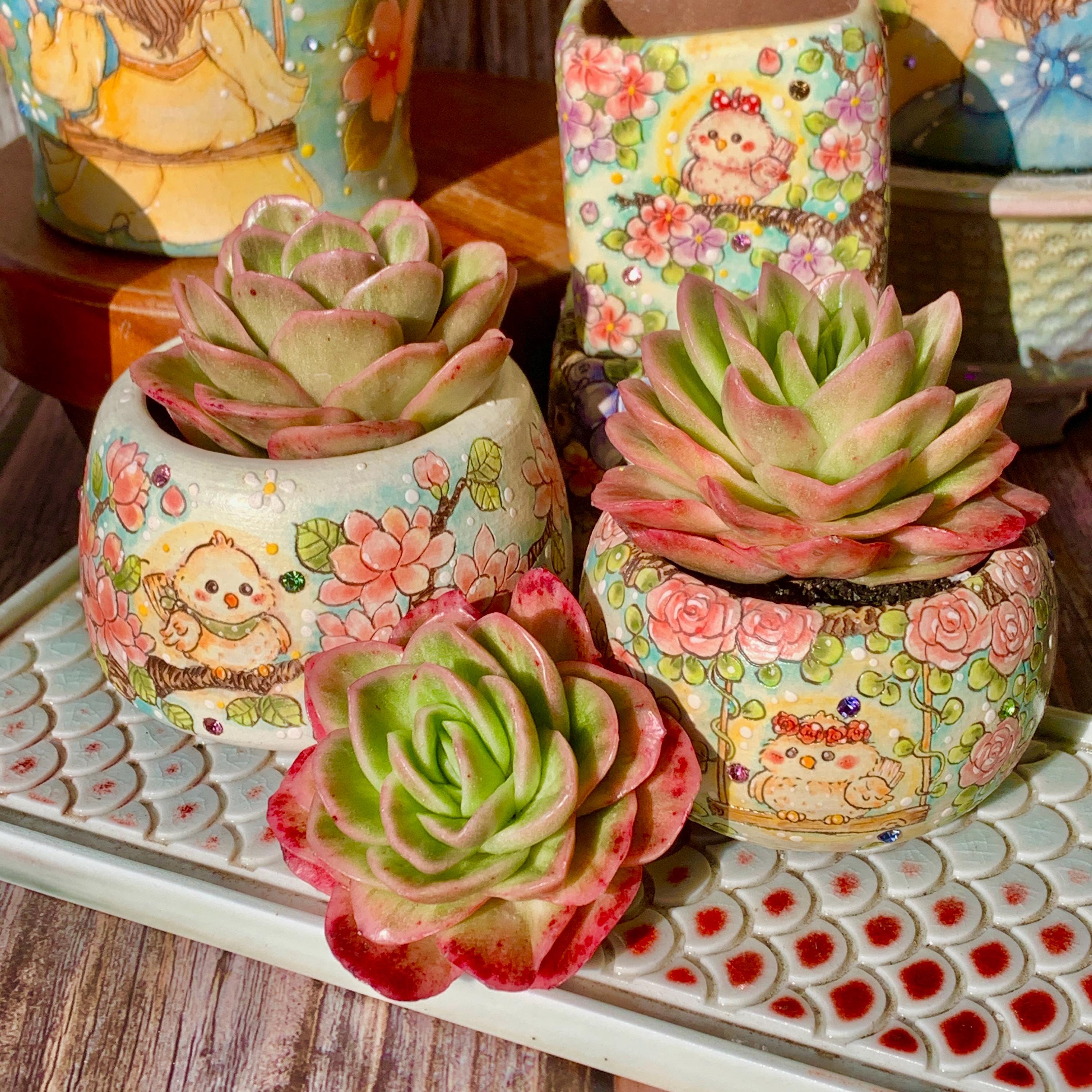 Ice Plant Succulent - Etsy