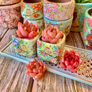 May include: Two small, square, hand-painted ceramic pots with pink succulents. The pots have a whimsical design with birds, flowers, and other details. The pots are sitting on a light blue tray with a decorative pattern.