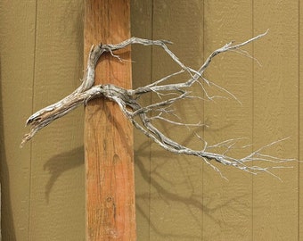 Desert Sage Branches!! 5pc 16”+ Western Decor Desert Driftwood Dry Sage Branch Hand Foraged Ethically Sourced Sanded Sealed Desert Driftwood