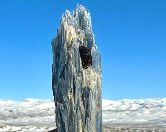 ¡¡Cianita azul helada con granate RARO!! Venas de cuarzo ¡¡Formación extremadamente rara!! Granate de cianita de cristal y cuarzo transparente Precioso cristal grande