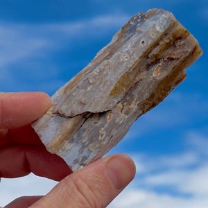 Purple Gray Blue Druzy Agate Opal Petrified Wood Crystal Beautiful Rare!! Complete Petrified Wood Druzy Limb Cast Ethically Sourced Crystal