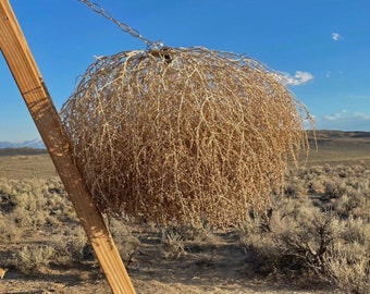 Massive!! Best Tumbleweed Chandelier!! Huge Full Beautiful Hand Foraged Ethically Sourced Tumbleweed Light Fixture Chandelier Western Decor