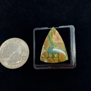 Petrified Wood Cabochon Gem Grade Pink Druzy Translucent Agate High Luster Medium Cabochon Petrified Wood Agatized Wood Amazing Best Quality