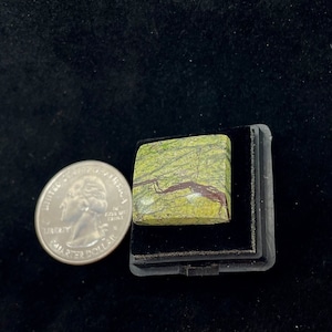 Petrified Wood Cabochon Gem Grade Green and Brown Gorgeous High Luster Medium Cabochon Petrified Wood Agatized Wood Amazing Best Quality
