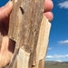 see more listings in the Petrified Wood section