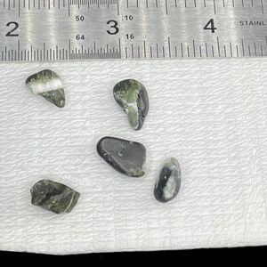 Tourmaline Tumbled Small Lot Green Tumbled Tourmaline White and Dark Green Tourmaline Small Lot Tumbled Stones