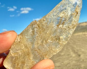 Selenite SPECIAL! RARE! Golden Healer Silver Fishtail Selenite Natural Etched Terminated Secondary Growth Rosette Floater Crystal Nevada