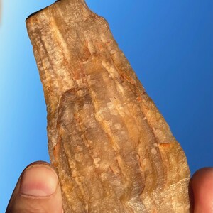 Twisted Tree Highly Agatized Petrified Wood Limb Cast Beautiful Best Quality Rare Undamaged Crystal Mineral Specimen Amazing Colors! USA