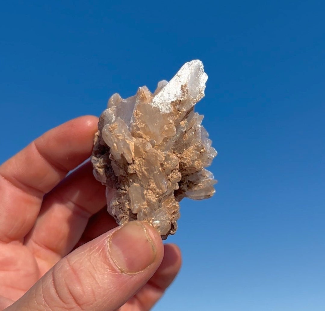 Fishscale Gypsum Desert Crystal Cluster Small Size Museum