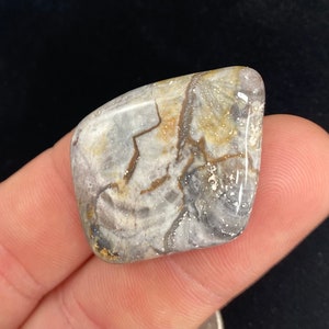 Petrified Wood Cabochon Gem Grade with Druzy Vein Gorgeous High Luster Large Size Pendant Cabochon Petrified Wood Agatized Wood Amazing Best